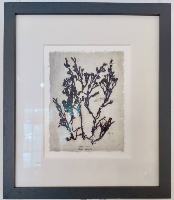 - on , Print by Richard Farrant, measuring 19 x 15 cm (H x W) framed at 35 x 30 cm £75